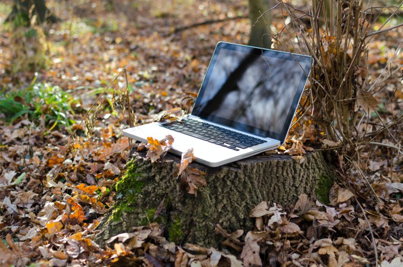 Laptop on a tree wood